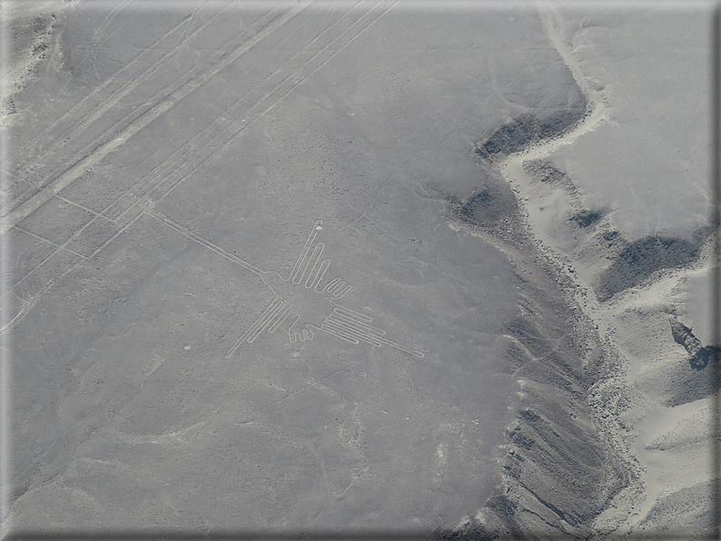 foto Linee di Nazca